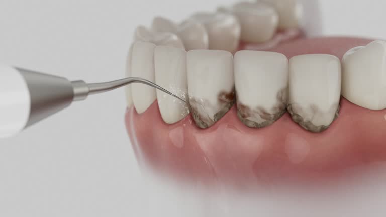 Reliable Dental contractor in Franklin, TX by Dentist Open Now